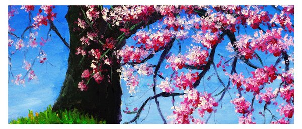 Obraz maľované rozkvitnuté čerešne (120x50 cm)