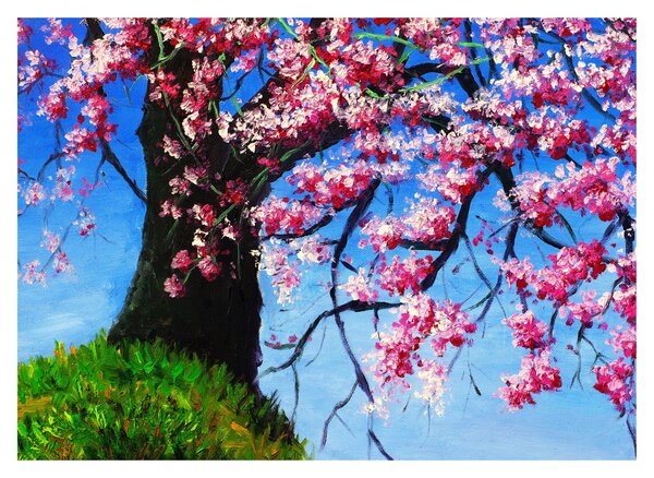 Obraz maľované rozkvitnuté čerešne (70x50 cm)