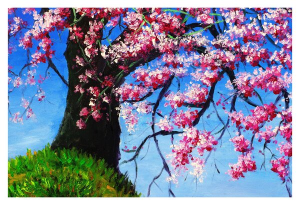 Obraz maľované rozkvitnuté čerešne (90x60 cm)