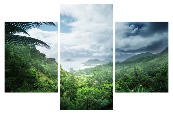 Obraz - Seychelská jungle (90x60 cm)