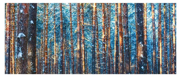 Obraz - Zimný les (120x50 cm)