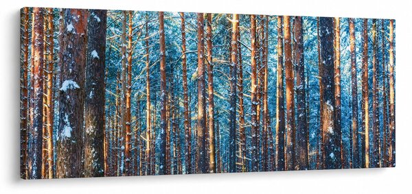 Obraz - Zimný les (120x50 cm)