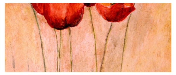 Obraz - Červené tulipány (120x50 cm)