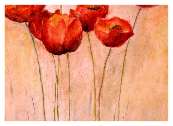 Obraz - Červené tulipány (70x50 cm)