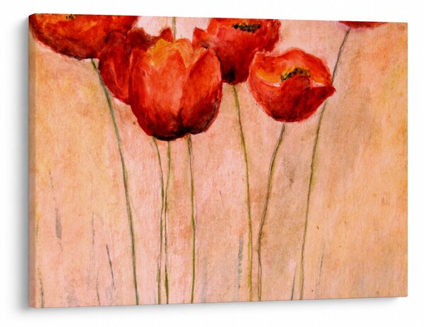 Obraz - Červené tulipány (70x50 cm)