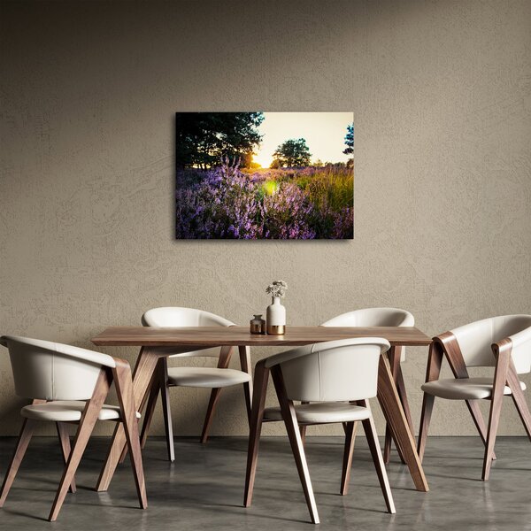 Obraz poľa levanduľou (70x50 cm)