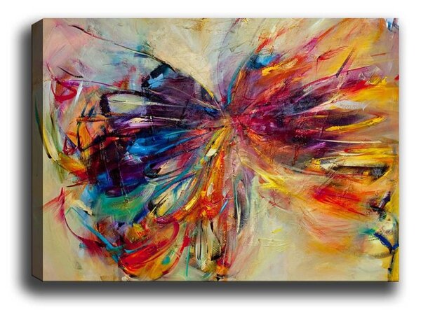 Hanah Home Obraz Motýľ 70x50 cm viacfarebný