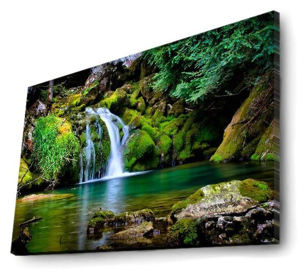 Wallity Obraz s LED osvetlením PRÍRODA 34 45 x 70 cm