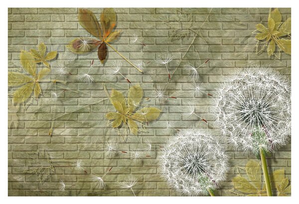 Obraz - Púpavy unášané vetrom (90x60 cm)