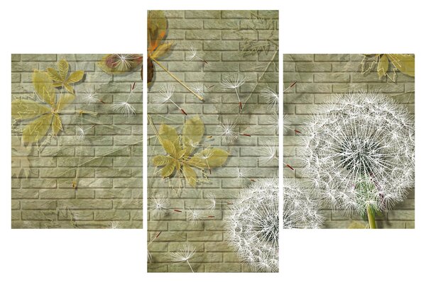 Obraz - Púpavy unášané vetrom (90x60 cm)