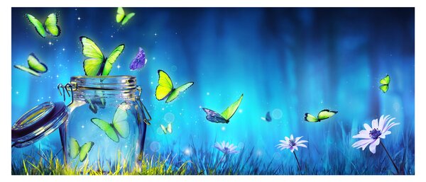 Obraz - Voľnosť (120x50 cm)
