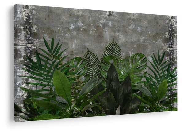 Obraz - Betónový múr s rastlinami (90x60 cm)