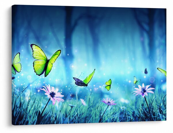 Obraz - Mystická lesná čistina (70x50 cm)