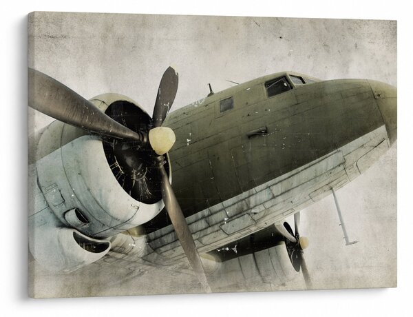 Obraz - Staré vrtuľové lietadlo (70x50 cm)