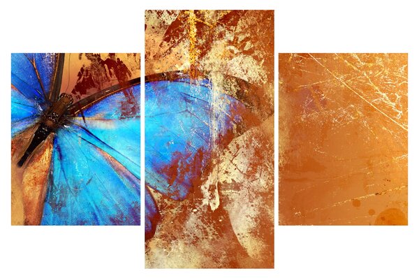 Obraz - Modrý motýľ (90x60 cm)