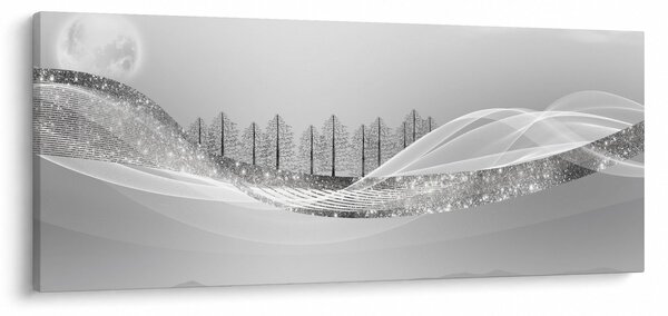 Obraz - Strieborná krajina (120x50 cm)