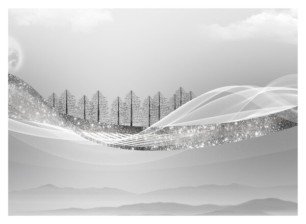 Obraz - Strieborná krajina (70x50 cm)