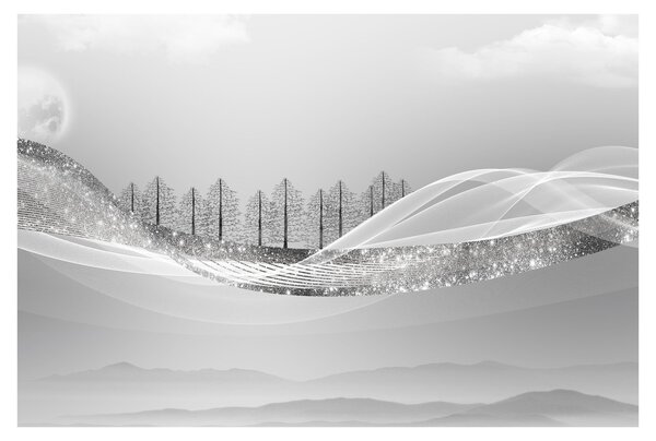 Obraz - Strieborná krajina (90x60 cm)