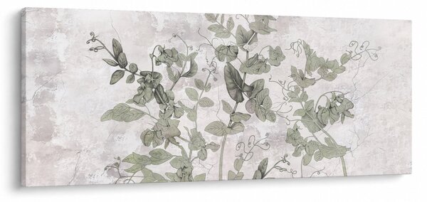 Obraz - Rastliny v omietke (120x50 cm)