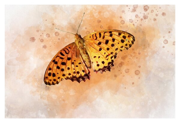 Obraz - Oranžový motýľ, aquarel (90x60 cm)