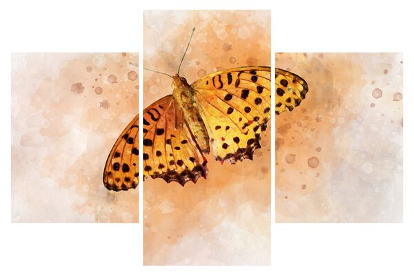 Obraz - Oranžový motýľ, aquarel (90x60 cm)