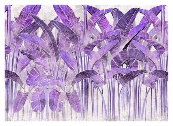 Obraz - Fialové listy v omietke (70x50 cm)