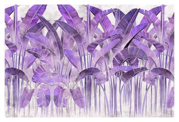 Obraz - Fialové listy v omietke (90x60 cm)