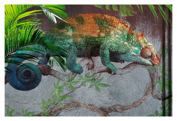 Obraz - Chameleon (90x60 cm)