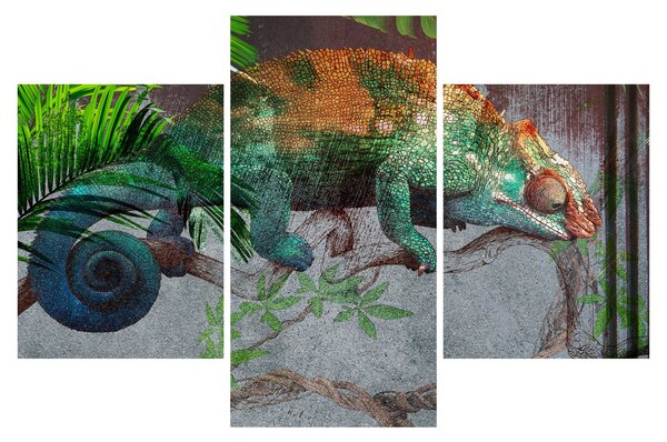 Obraz - Chameleon (90x60 cm)