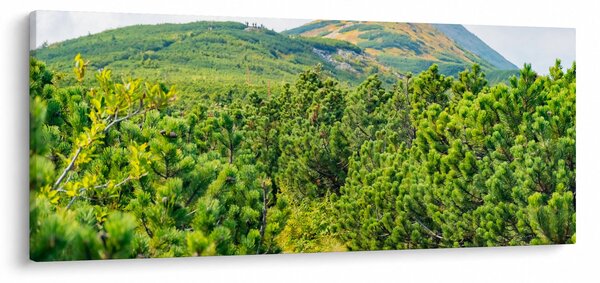 Obraz - Babi Hora, Poľsko (120x50 cm)