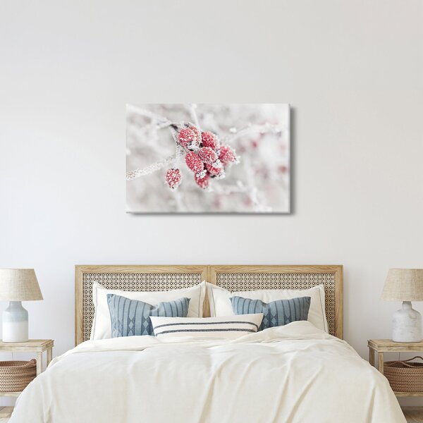 Obraz - Zamrznuté plody (90x60 cm)