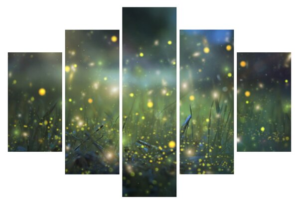 Obraz - Čarovná noc (150x105 cm)