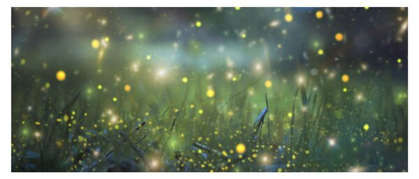 Obraz - Čarovná noc (120x50 cm)