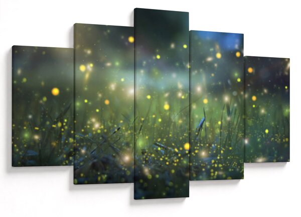 Obraz - Čarovná noc (150x105 cm)