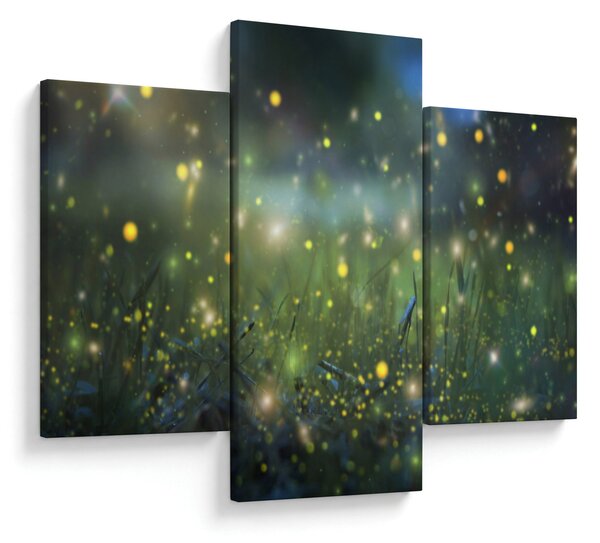 Obraz - Čarovná noc (90x60 cm)