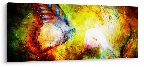 Obraz - Kozmický motýľ (120x50 cm)