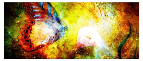 Obraz - Kozmický motýľ (120x50 cm)