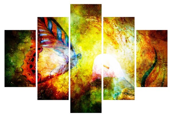 Obraz - Kozmický motýľ (150x105 cm)