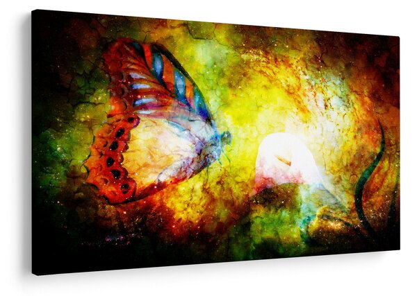 Obraz - Kozmický motýľ (90x60 cm)