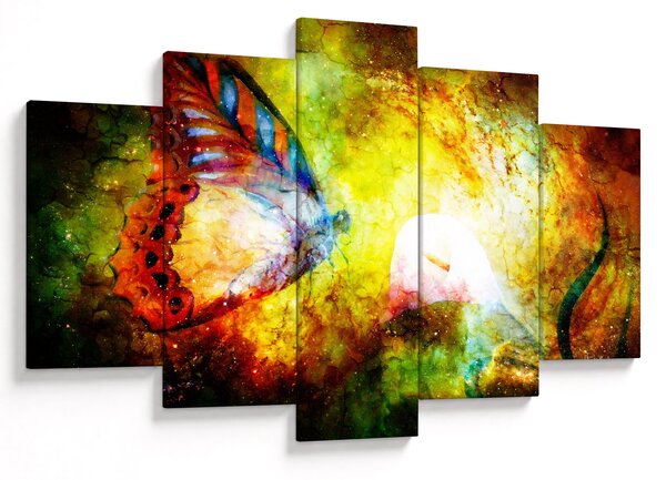 Obraz - Kozmický motýľ (150x105 cm)