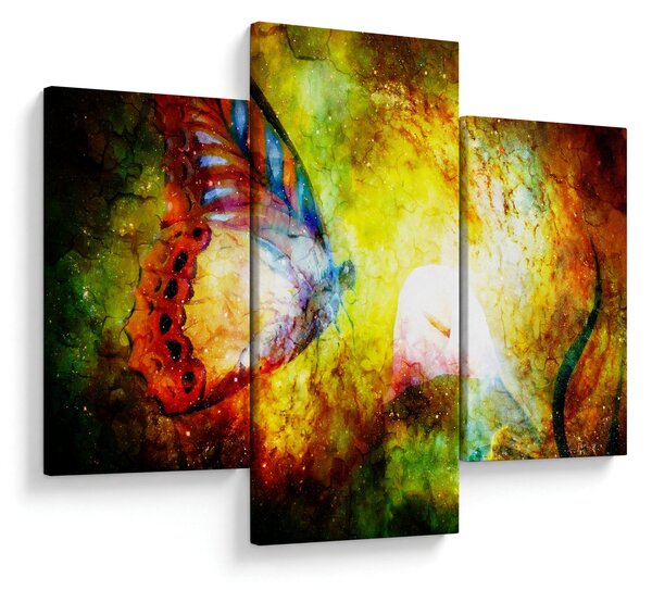 Obraz - Kozmický motýľ (90x60 cm)
