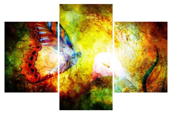 Obraz - Kozmický motýľ (90x60 cm)