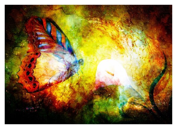 Obraz - Kozmický motýľ (70x50 cm)
