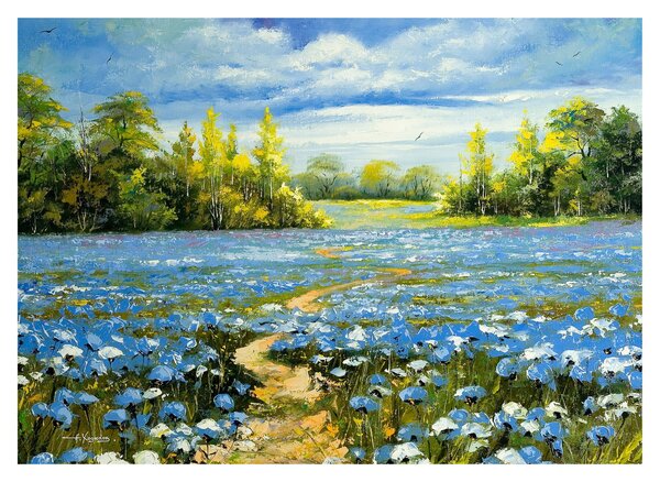 Obraz - Cestička v poli, olejomaľba (70x50 cm)
