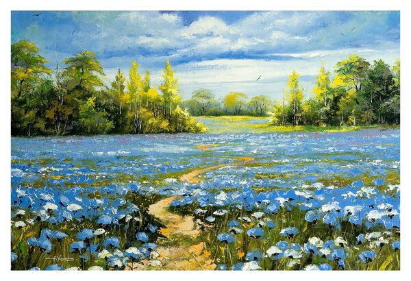 Obraz - Cestička v poli, olejomaľba (90x60 cm)