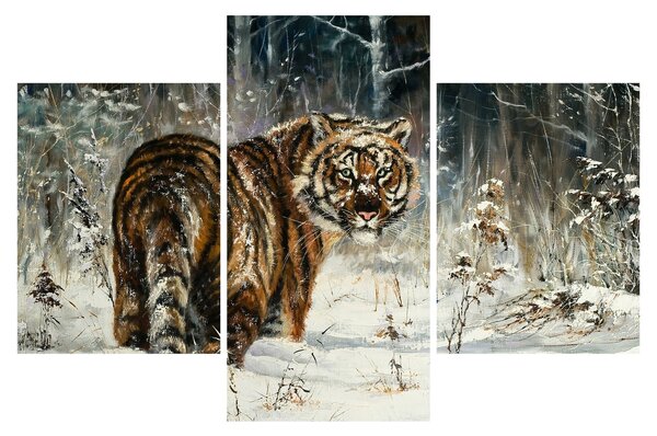 Obraz - Tiger v zasneženom lese, olejomaľba (90x60 cm)