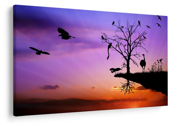 Obraz - Siluety zvierat (90x60 cm)