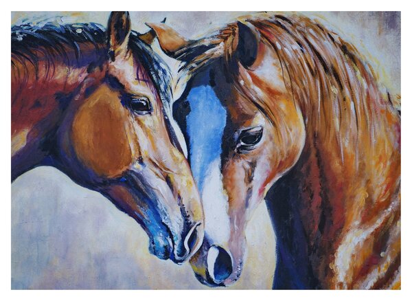 Obraz - Zamilované kone (70x50 cm)