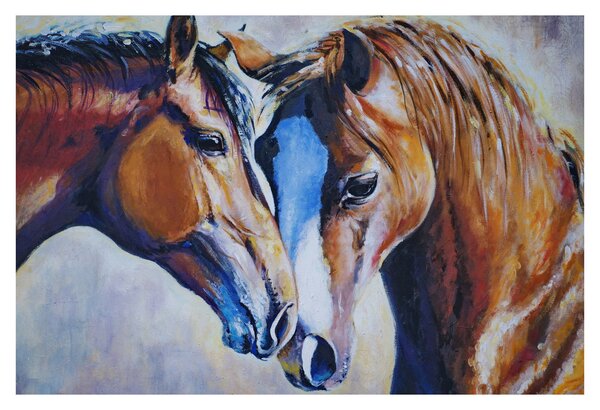 Obraz - Zamilované kone (90x60 cm)