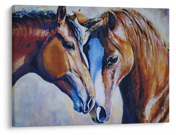 Obraz - Zamilované kone (70x50 cm)